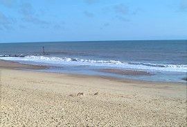 [Photo of local beach.]