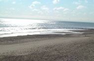 [Photo of Bacton beach, Norfolk.]